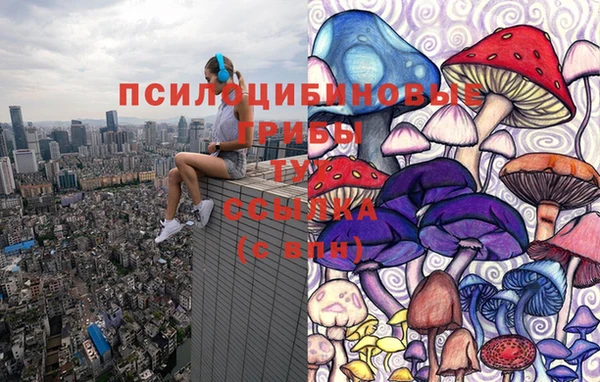 амф Балахна