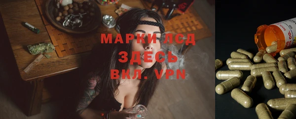 скорость Новозыбков