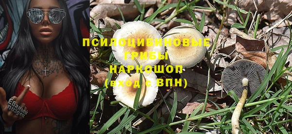 ГАЛЛЮЦИНОГЕННЫЕ ГРИБЫ Баксан