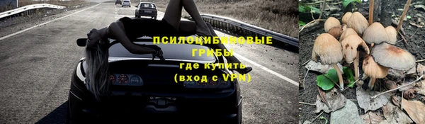 амф Балахна