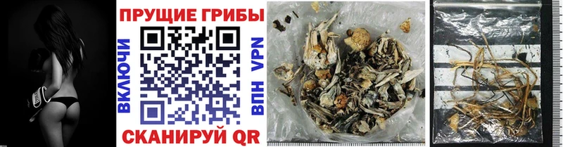 Галлюциногенные грибы ЛСД  Петухово 